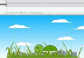 一只乌龟在草丛中行走而过11秒
