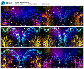 梦幻炫丽孔雀舞 舞台背景视频