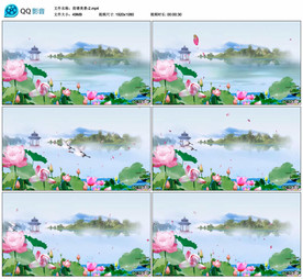 唯美江南荷花荷塘 舞台背景视频