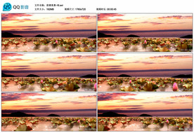 夕阳荷花荷塘 舞台背景视频素材