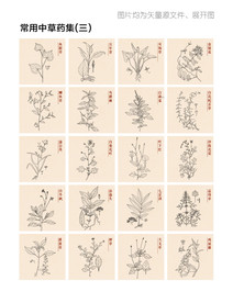 常用中草药合集三