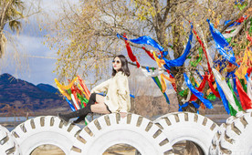 15秒抖音风格 PR相册模板