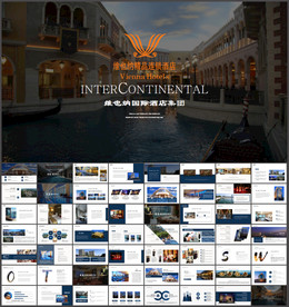维也纳国际酒店商业计划书ppt