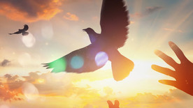 《像梦一样自由》汪峰配乐成品