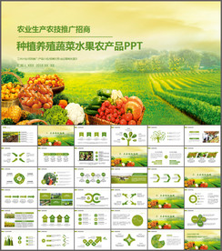 水稻粮食农业丰收大米生产加工