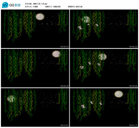 柳树月亮飞鸟 舞台背景视频素材