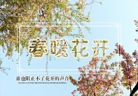 春暖花开