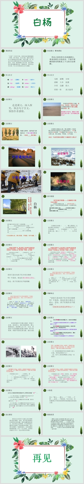 小学语文课文《白杨》教育教学