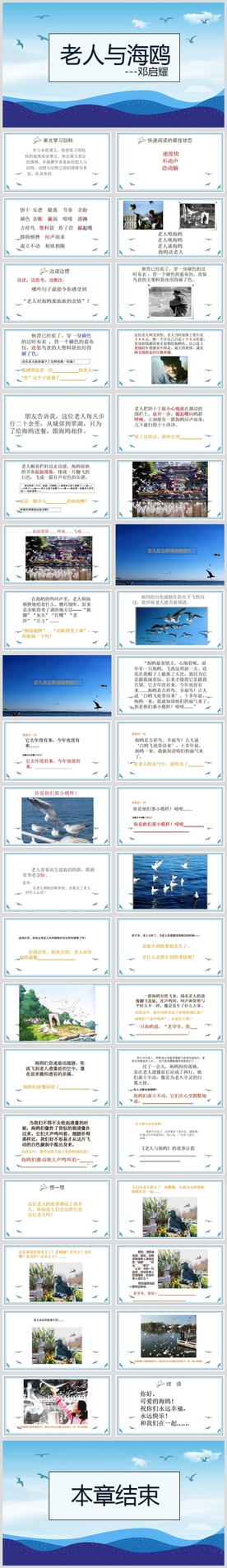 小学语文课文《老人与海鸥》教育