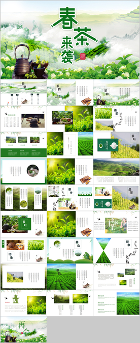 春茶上茶叶茶具茶文化茶道PPT
