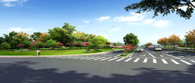 道路绿化