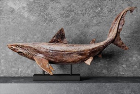 鲨鱼摆件3d模型