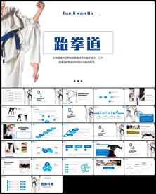 武术功夫空手道跆拳道PPT