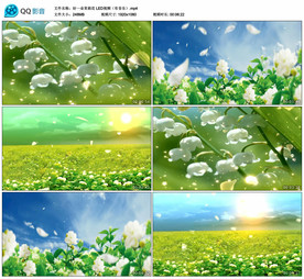 好一朵茉莉花 舞台背景视频素材