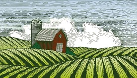 有机农场插画插图