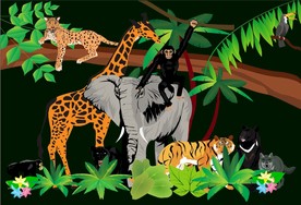 动物世界插画插图