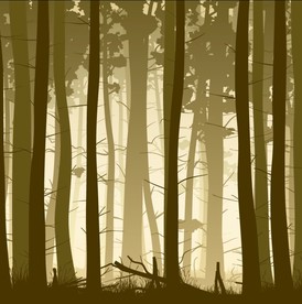 树林森立风景插画插图