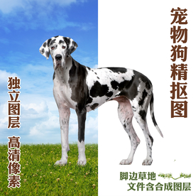 四国犬图片大全 四国犬设计素材 四国犬模板下载 四国犬图库 昵图网soso Nipic Com