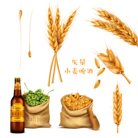 大丰收季节粮食背景图片