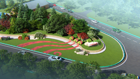 美丽乡村道路绿化鸟瞰图