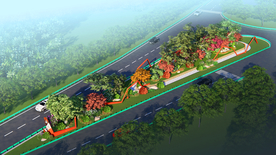 美丽乡村道路绿化鸟瞰图