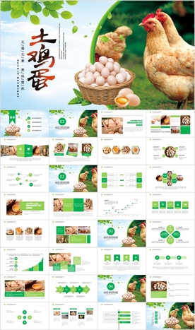 养鸡场生态养殖农家土鸡蛋ppt