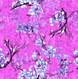 花卉 花朵 花朵树枝 梅花