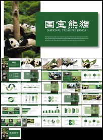 保护动物吃竹子国宝熊猫野生动物