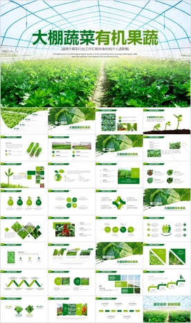 智慧农业大棚蔬菜农副产品PPT