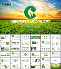 中国烟草局烟草公司工作PPT