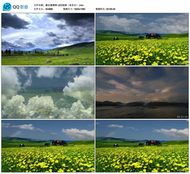 康定溜溜情 舞台背景视频成品