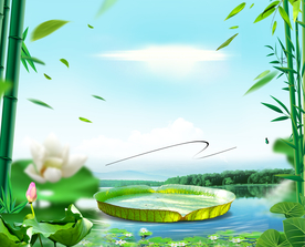 手绘中国风池塘