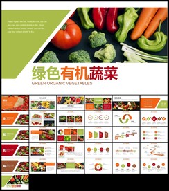 绿色天然无公害农产品有机蔬菜