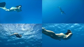 海底世界美女潜水美人鱼游动