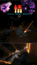 婚庆情字包装视频