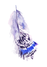 手绘水彩羽毛素材