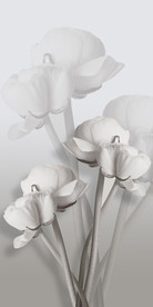 淡雅创意鲜花玄关背景