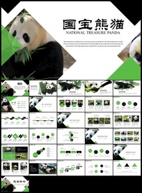 国宝大熊猫动物保护四川熊猫简介