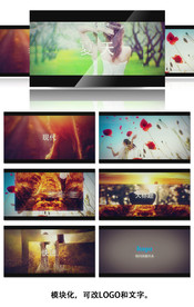 时尚现代动感节拍快闪片头