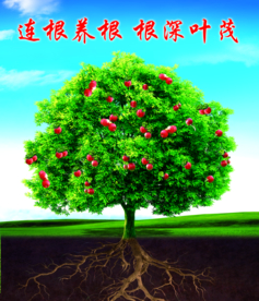 连根养根  根深叶茂