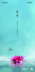 夏至海报