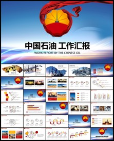 中国石油中石油中石化工作汇报