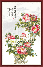 牡丹花