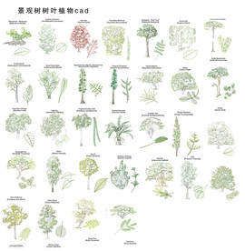 CAD树木植物图块