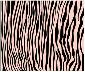 豹纹背景矢量图