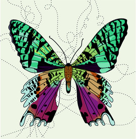 蝴蝶矢量素材