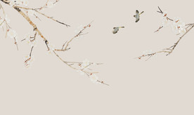 淡雅工笔梅花 淡雅梅花 花鸟画