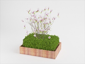 室外花盆木兰花模型