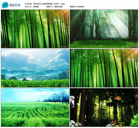 快乐的布谷 舞台背景视频成品