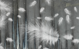 羽毛装饰画 高清TIF分层